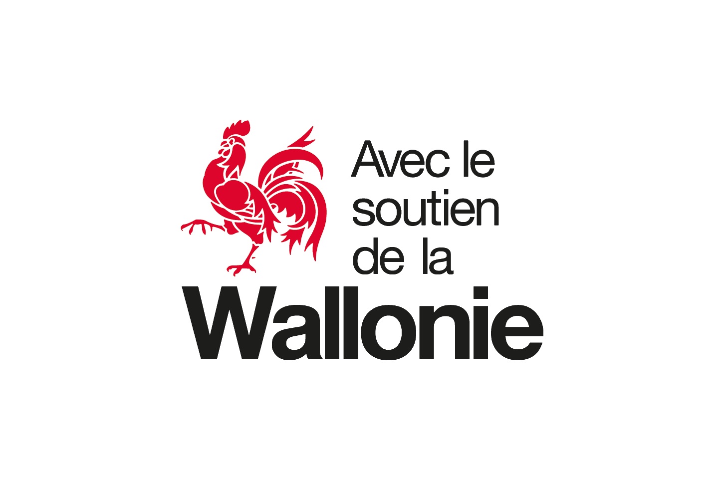 Region Wallone Logo Region Wallone